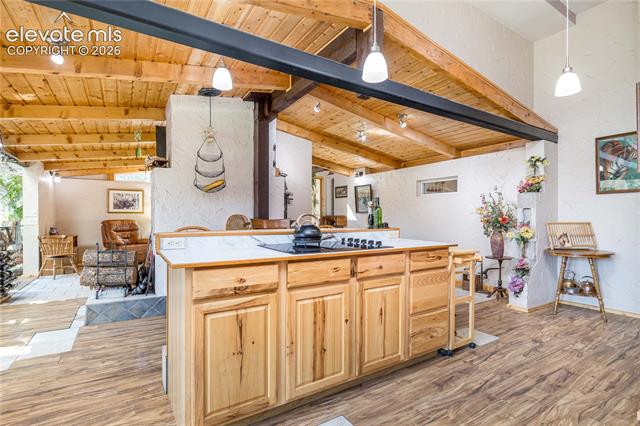 MLS Image for 2493  County Road 782  ,Woodland Park, Colorado