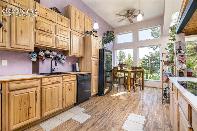 MLS Image for 2493  County Road 782  ,Woodland Park, Colorado