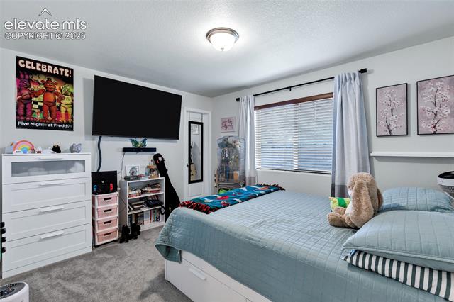 MLS Image for 9003  Yellowtail  ,Colorado Springs, Colorado
