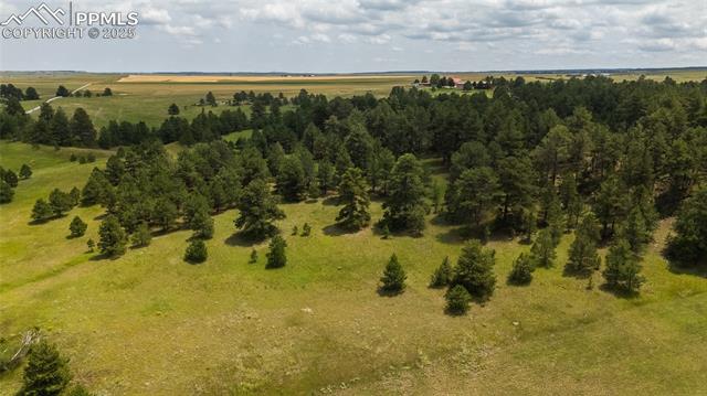 MLS Image for 11771 E Smith  ,Elbert, Colorado