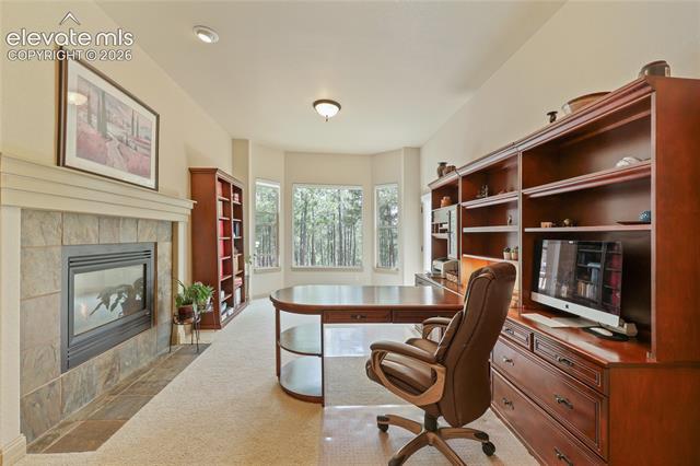 MLS Image for 15931  Waving Branch  ,Colorado Springs, Colorado