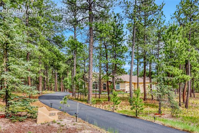 MLS Image for 15931  Waving Branch  ,Colorado Springs, Colorado