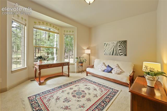 MLS Image for 15931  Waving Branch  ,Colorado Springs, Colorado