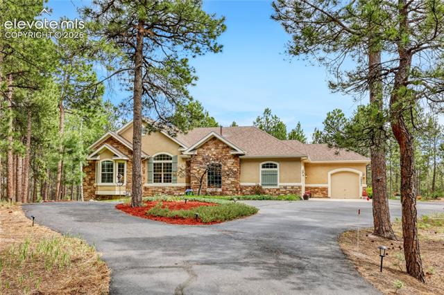 MLS Image for 15931  Waving Branch  ,Colorado Springs, Colorado