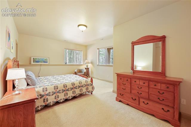 MLS Image for 15931  Waving Branch  ,Colorado Springs, Colorado