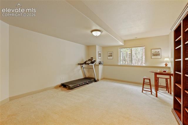 MLS Image for 15931  Waving Branch  ,Colorado Springs, Colorado