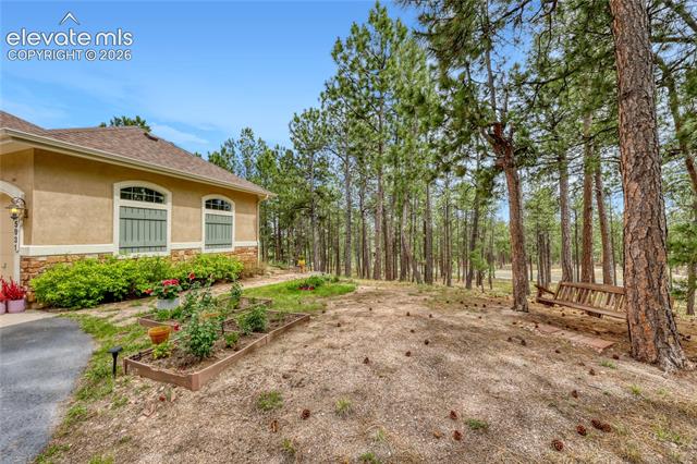 MLS Image for 15931  Waving Branch  ,Colorado Springs, Colorado