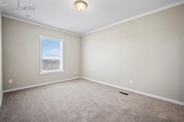 MLS Image for 6913  Halex  ,Colorado Springs, Colorado