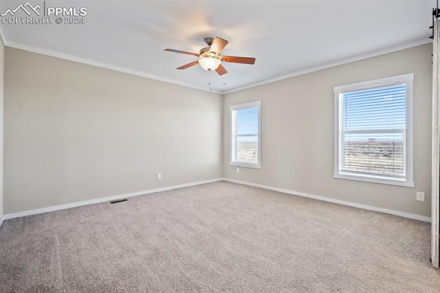 MLS Image for 6913  Halex  ,Colorado Springs, Colorado