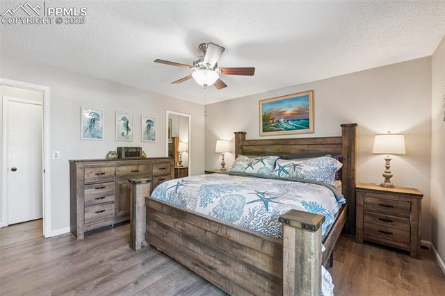 MLS Image for 3460  Fair Dawn  ,Colorado Springs, Colorado