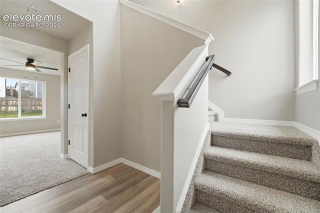 MLS Image for 10885  Matta  ,Colorado Springs, Colorado