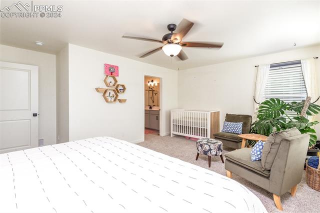 MLS Image for 5166  Janga  ,Colorado Springs, Colorado