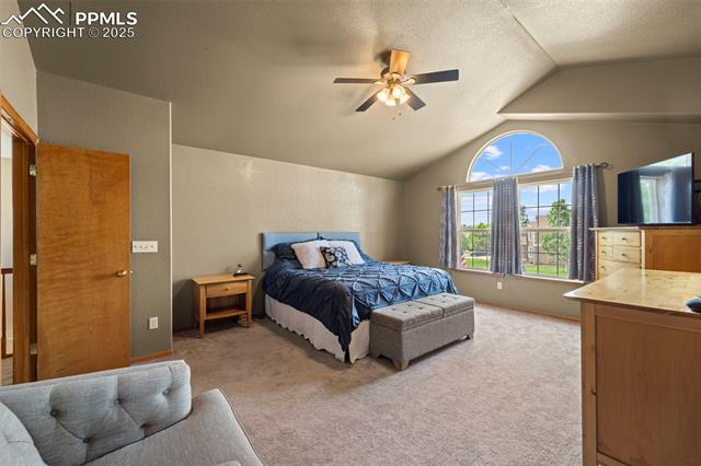 MLS Image for 6515  Medicine Springs  ,Colorado Springs, Colorado