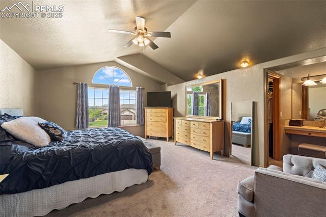 MLS Image for 6515  Medicine Springs  ,Colorado Springs, Colorado