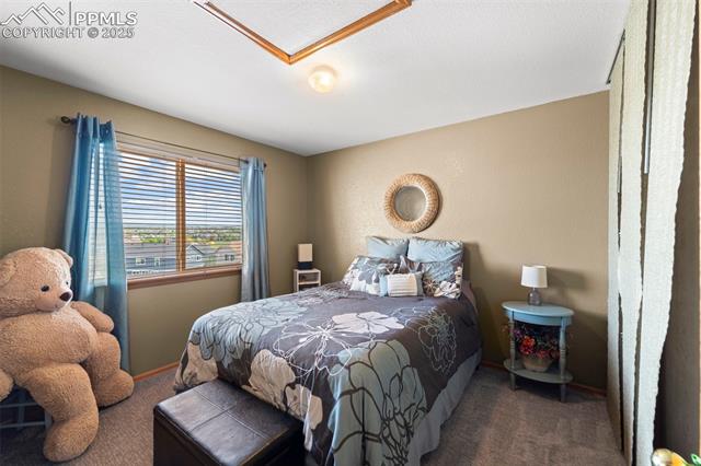 MLS Image for 6515  Medicine Springs  ,Colorado Springs, Colorado