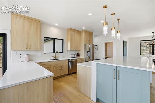 MLS Image for 2220  Cape Pine  ,Colorado Springs, Colorado