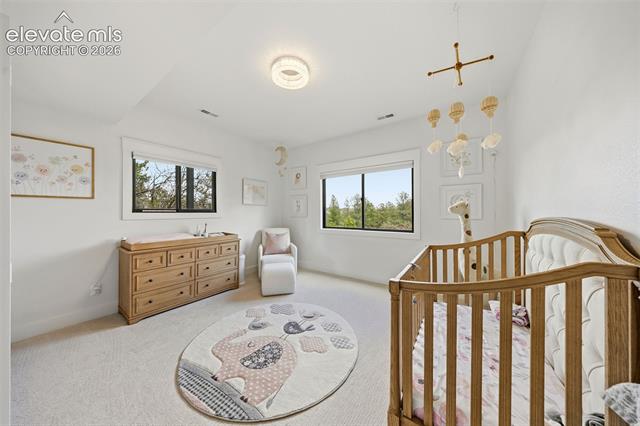 MLS Image for 2220  Cape Pine  ,Colorado Springs, Colorado