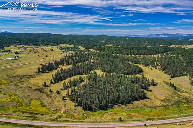 MLS Image for 4815  County Road 42  ,Divide, Colorado