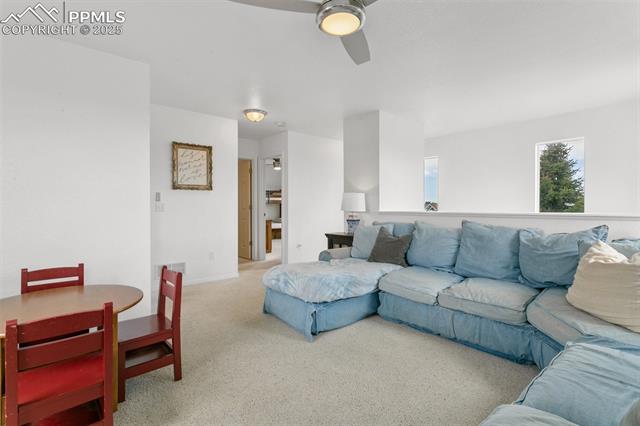MLS Image for 7711  Menagerie  ,Colorado Springs, Colorado