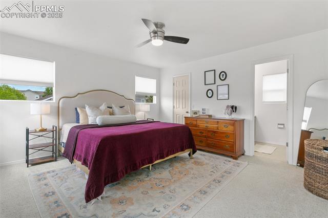 MLS Image for 7711  Menagerie  ,Colorado Springs, Colorado