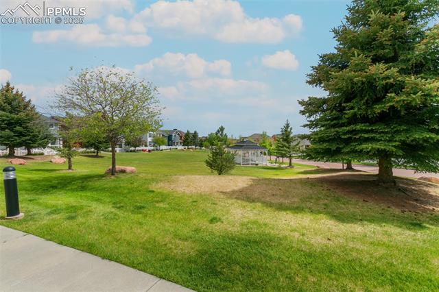 MLS Image for 7711  Menagerie  ,Colorado Springs, Colorado