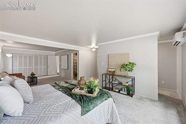 MLS Image for 10  Haney  ,Colorado Springs, Colorado