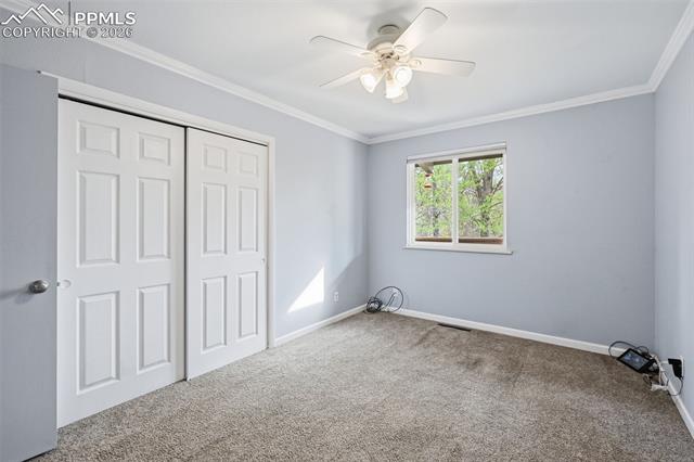 MLS Image for 10  Haney  ,Colorado Springs, Colorado