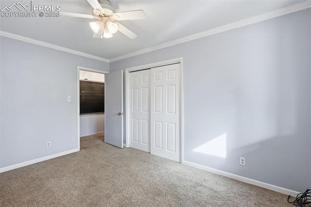 MLS Image for 10  Haney  ,Colorado Springs, Colorado
