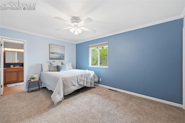 MLS Image for 10  Haney  ,Colorado Springs, Colorado