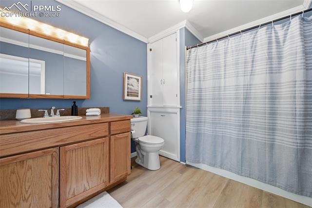 MLS Image for 10  Haney  ,Colorado Springs, Colorado