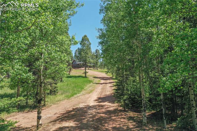 MLS Image for 101  Daniwood  ,Florissant, Colorado