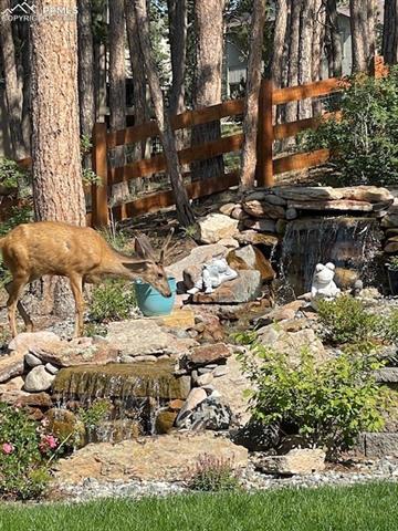 MLS Image for 878  Tree Bark  ,Monument, Colorado