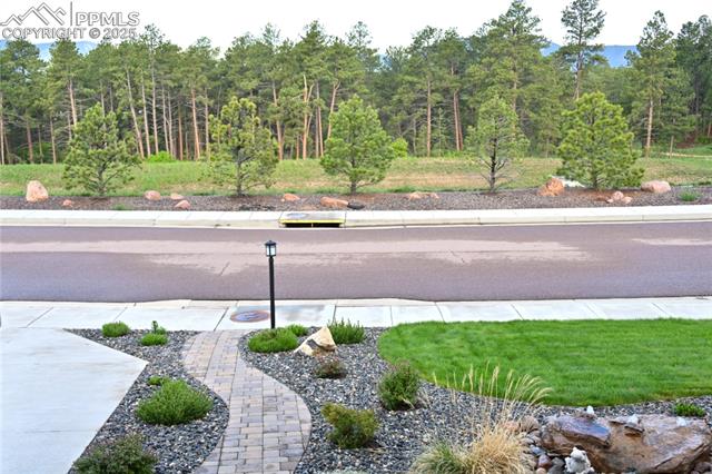 MLS Image for 878  Tree Bark  ,Monument, Colorado