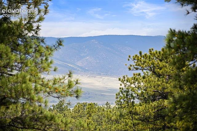 MLS Image for 1851  Gore  ,Larkspur, Colorado