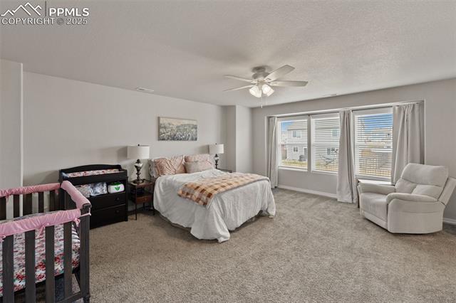 MLS Image for 11052  Bossett  ,Peyton, Colorado