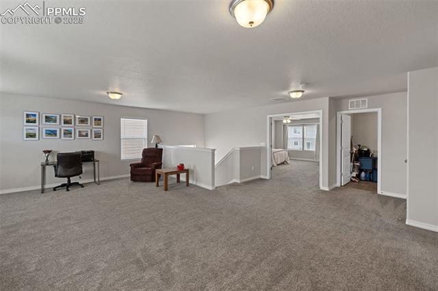 MLS Image for 11052  Bossett  ,Peyton, Colorado
