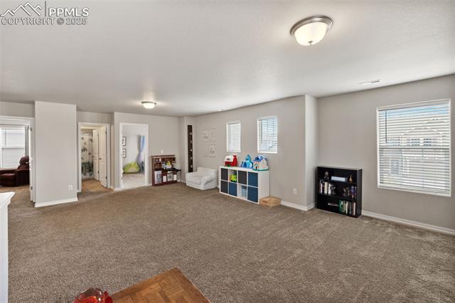 MLS Image for 11052  Bossett  ,Peyton, Colorado