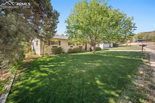 MLS Image for 1011  Milky  ,Colorado Springs, Colorado