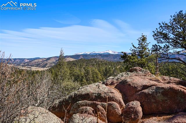 MLS Image for 66  Shawnee  ,Florissant, Colorado