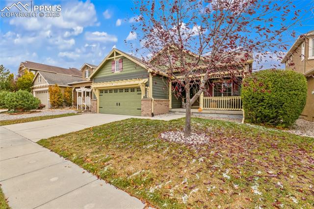 MLS Image for 6623  Thistlewood  ,Colorado Springs, Colorado