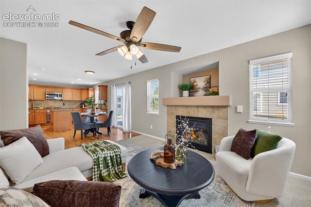 MLS Image for 785  Diamond Rim  ,Colorado Springs, Colorado