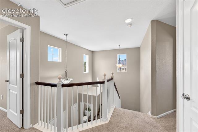 MLS Image for 785  Diamond Rim  ,Colorado Springs, Colorado