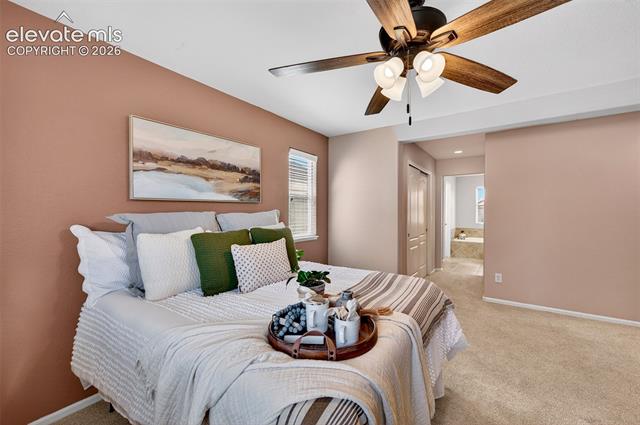 MLS Image for 785  Diamond Rim  ,Colorado Springs, Colorado