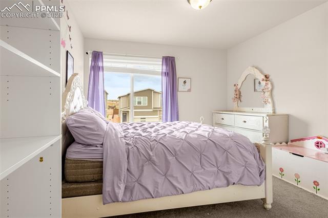 MLS Image for 6172  Godwit  ,Colorado Springs, Colorado