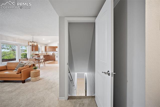 MLS Image for 6525  Leesburg  ,Colorado Springs, Colorado