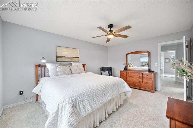 MLS Image for 6525  Leesburg  ,Colorado Springs, Colorado