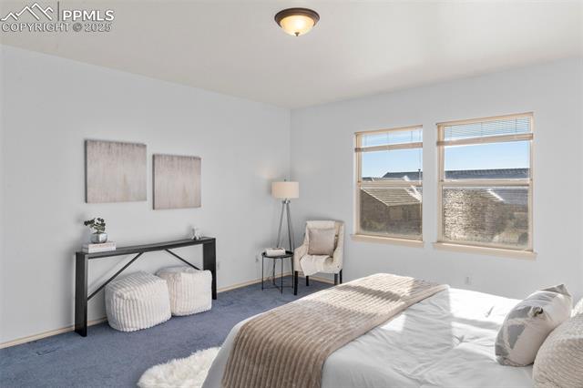 MLS Image for 1475  Symphony  ,Monument, Colorado