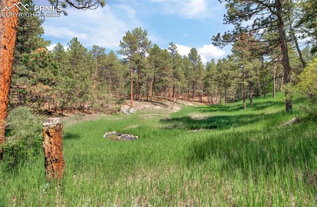 MLS Image for 4580  Creek View  ,Colorado Springs, Colorado