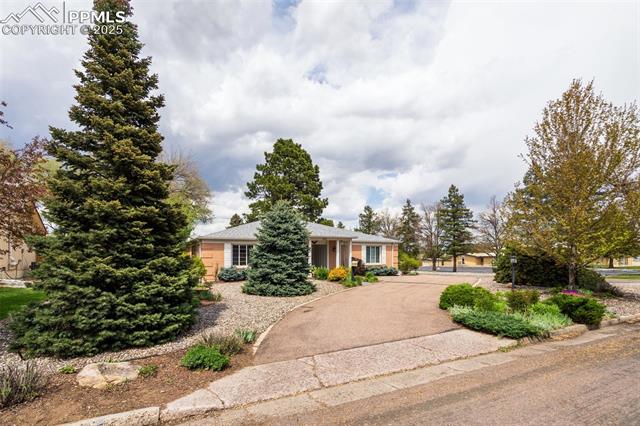 MLS Image for 202  Pine  ,Colorado Springs, Colorado