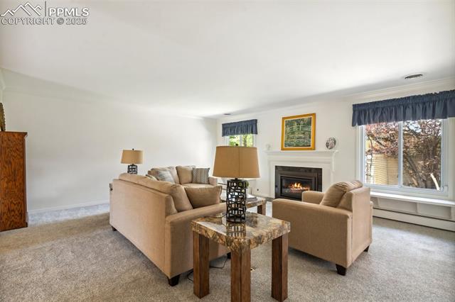 MLS Image for 202  Pine  ,Colorado Springs, Colorado
